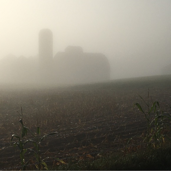 Meet your Posher, Christi - Picture 3 of 3